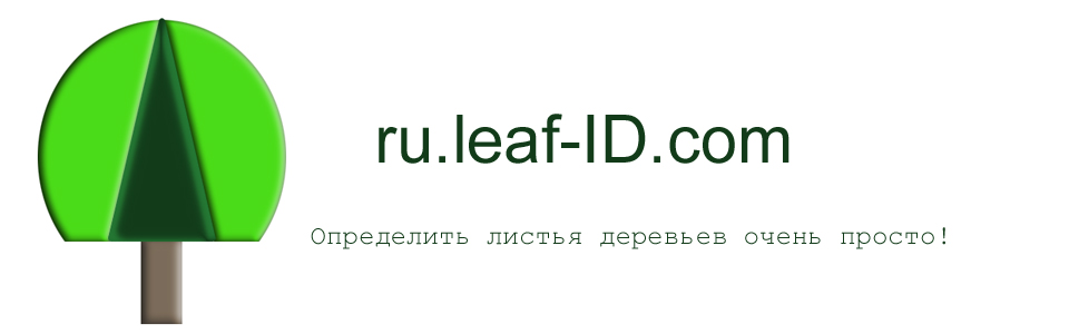 ru.leaf-ID.com
